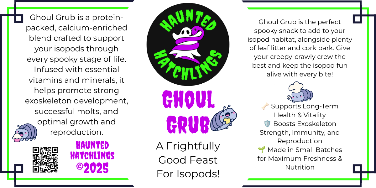 Ghoul Grub